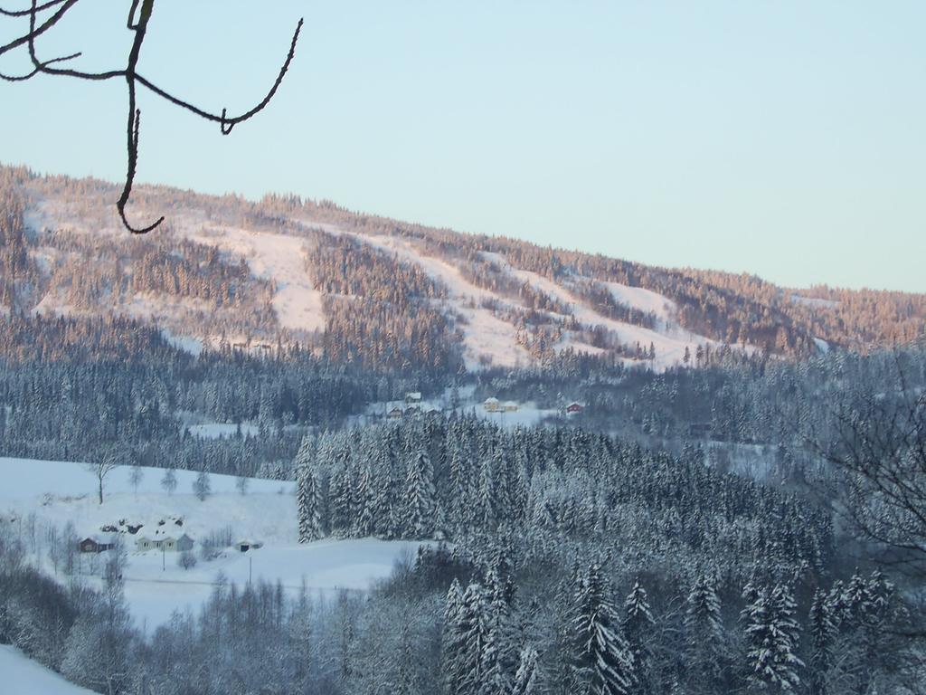 Sogn Gjestegard Svarstad  객실 사진
