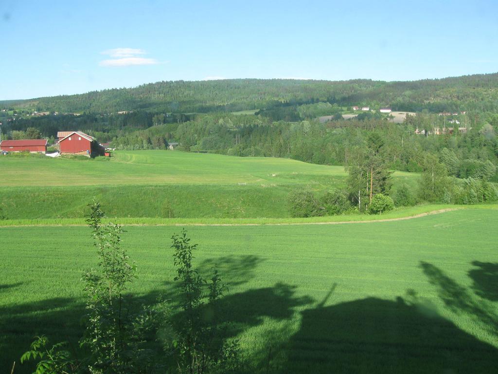 Sogn Gjestegard Svarstad  객실 사진